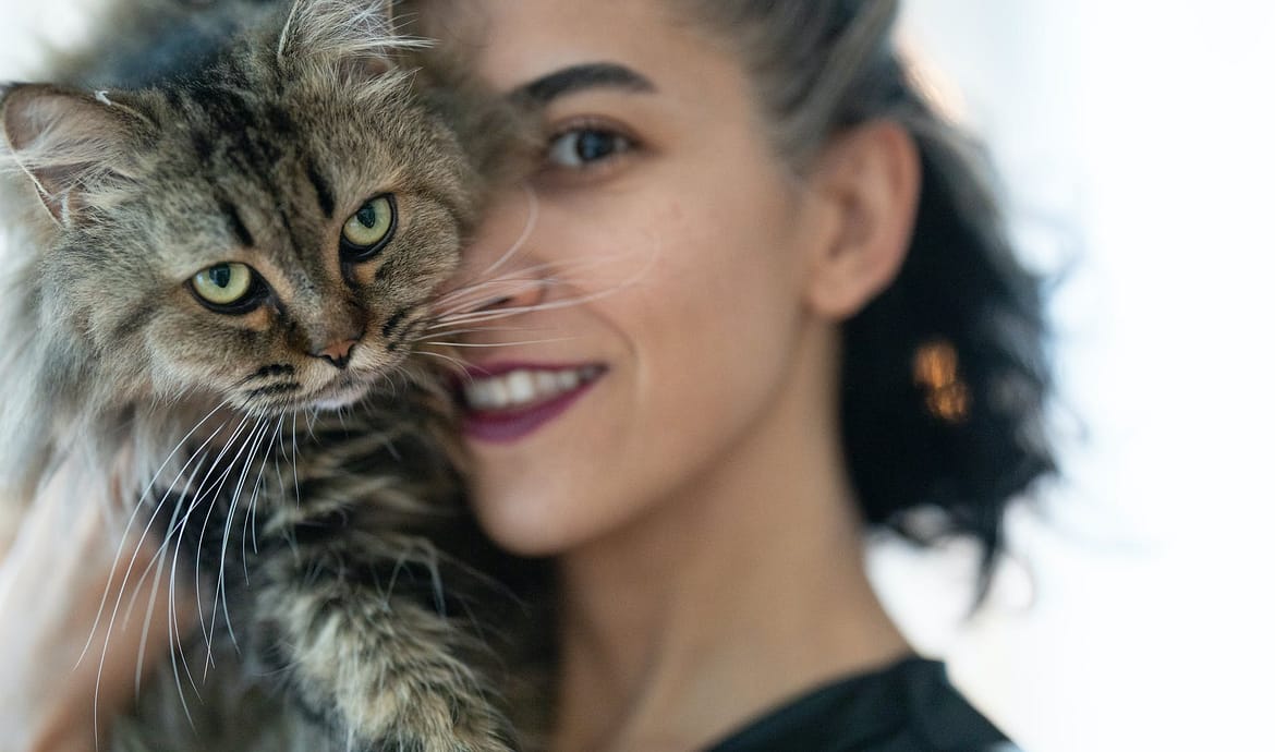 Età umana dei gatti