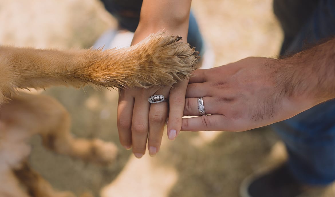 Pet terapy