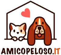 Amico Peloso