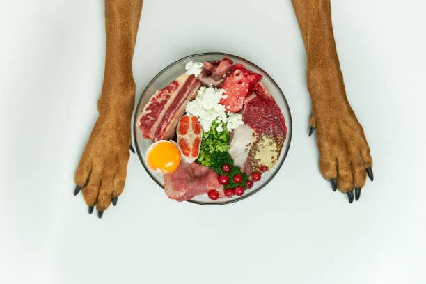 Dieta BARF