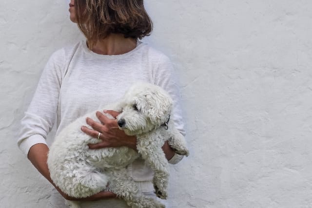 Perché i cani non vanno presi in braccio
