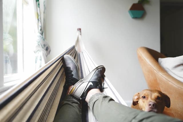 Perché il mio cane mi morde i piedi?