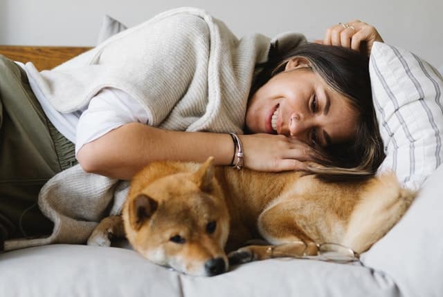 Massaggio al cane