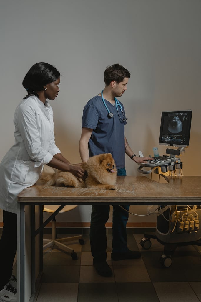 Come capire se un cane ha un tumore
